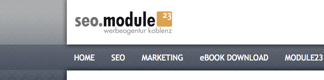 SEO Agentur Koblenz